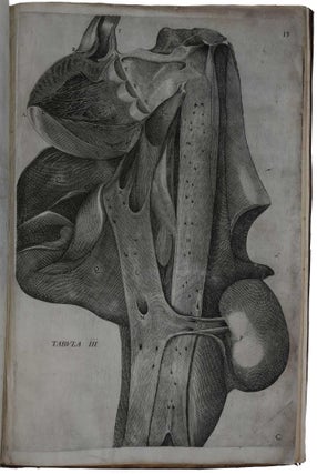 De venarum ostiolis.