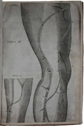 De venarum ostiolis.