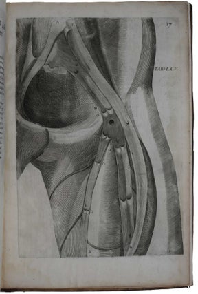 De venarum ostiolis.