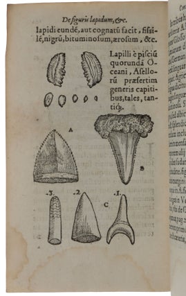 Item #5001 De Omni Rerum Fossilium Genere, Gemmis, Lapidibus, Metallis, et huiusmodi, libri...