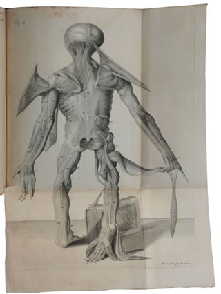 Orang-Outang, sive homo sylvestris; or, the anatomy of a pygmie compared with that of a monkey, an ape and a man. To which is added, a philological essay concerning the pygmies, the cynocephali, the satyrs, and sphinges of the Ancients. Wherein it will appear that they are all either apes or monkeys, and not men, as formerly pretended.