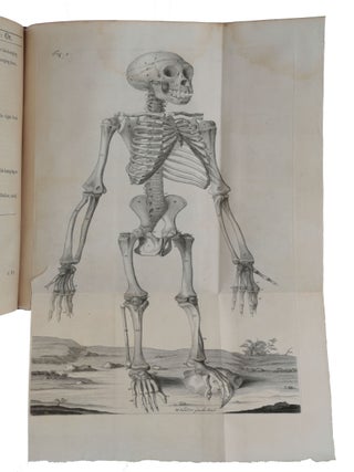 Orang-Outang, sive homo sylvestris; or, the anatomy of a pygmie compared with that of a monkey, an ape and a man. To which is added, a philological essay concerning the pygmies, the cynocephali, the satyrs, and sphinges of the Ancients. Wherein it will appear that they are all either apes or monkeys, and not men, as formerly pretended.