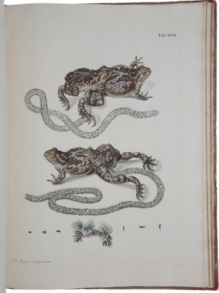 Historia naturalis ranarum in qua omnes earum proprietates, praesertim quae ad generationem ipsarum pertinent, fusius enarrantur. Die natürliche Historie der Frösche hiesigen Landes worinnen alle Eigenschaften derselben, sonderlich aber ihre Fortpflanzung, umständlich beschrieben werden.