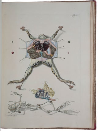 Historia naturalis ranarum in qua omnes earum proprietates, praesertim quae ad generationem ipsarum pertinent, fusius enarrantur. Die natürliche Historie der Frösche hiesigen Landes worinnen alle Eigenschaften derselben, sonderlich aber ihre Fortpflanzung, umständlich beschrieben werden.