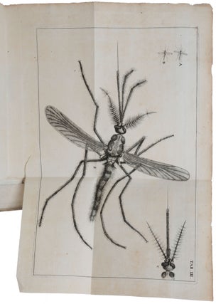 Historia insectorum generalis; ofte, algemeene verhandeling der bloedeloose dierkens.