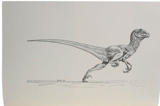 Osteology of Deinonychus antirrhopus, an Unusual Therapod from the Lower Cretaceous of Montana. Bulletin 30. Peabody Museum of Natural History, Yale University.