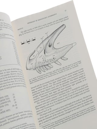 Osteology of Deinonychus antirrhopus, an Unusual Therapod from the Lower Cretaceous of Montana. Bulletin 30. Peabody Museum of Natural History, Yale University.