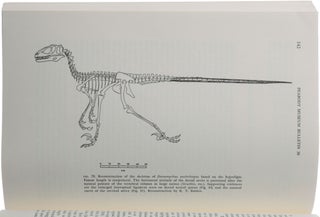 Osteology of Deinonychus antirrhopus, an Unusual Therapod from the Lower Cretaceous of Montana. Bulletin 30. Peabody Museum of Natural History, Yale University.