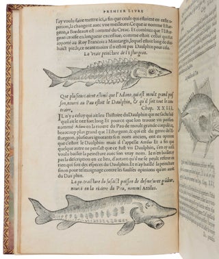 L’histoire naturelle des estranges poissons marins, avec la vraie peincture & description du Daulphin, & de plusieurs autres de son espece.