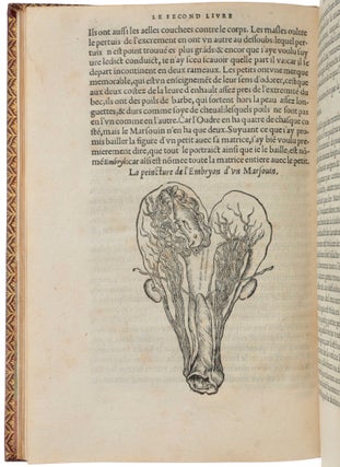 L’histoire naturelle des estranges poissons marins, avec la vraie peincture & description du Daulphin, & de plusieurs autres de son espece.