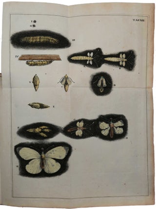 Item #6136 Historia insectorum generalis; ofte, algemeene verhandeling der bloedeloose dierkens....