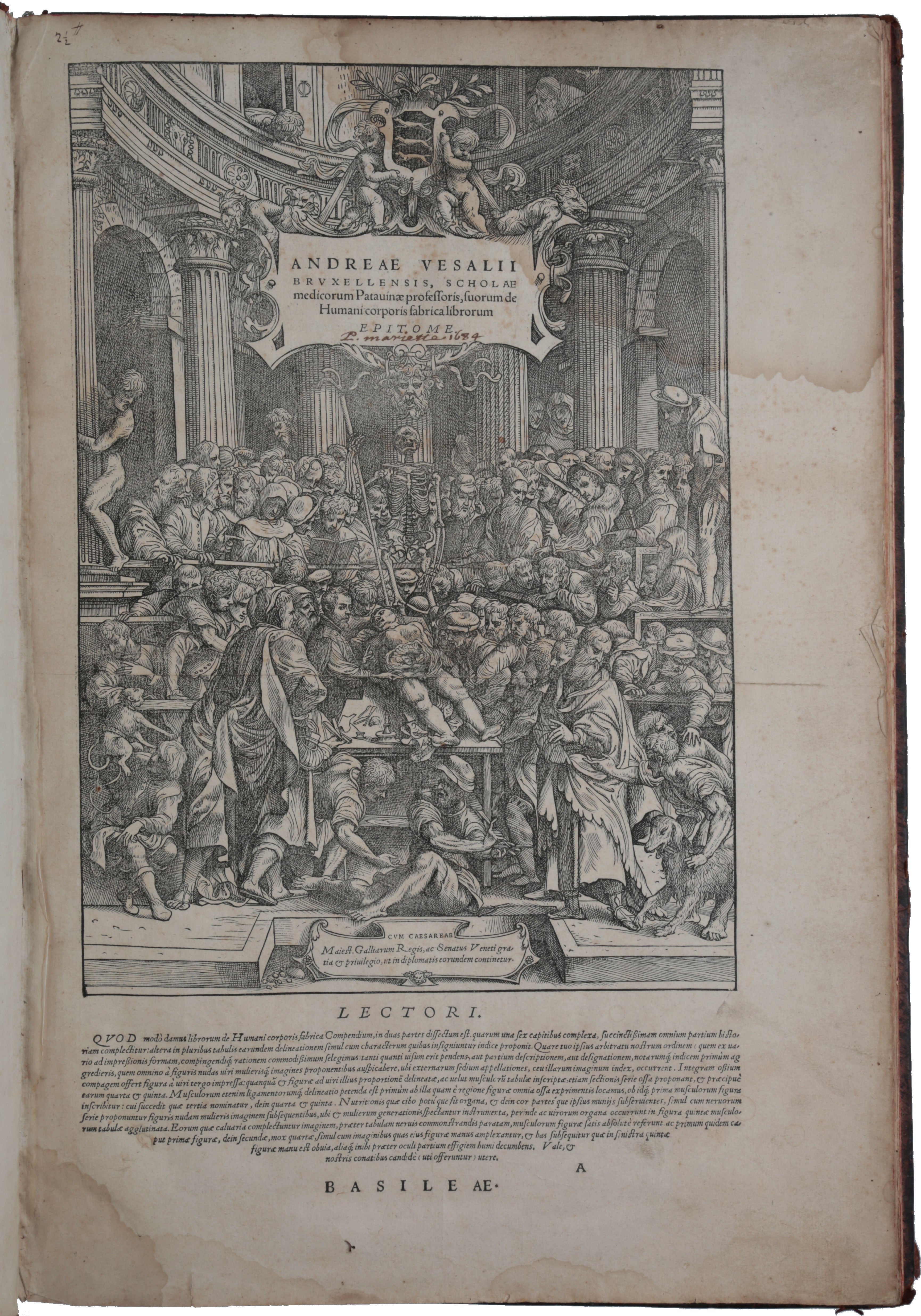 De Humani Corporis Fabrica librorum Epitome | Andreas VESALIUS
