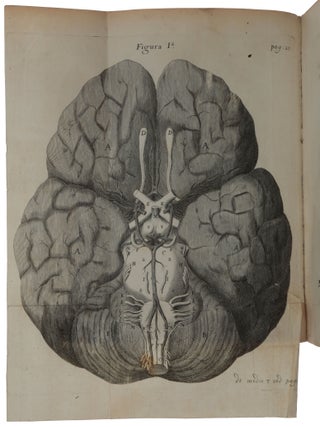 Item #6510 Cerebri anatome: cui accessit nervorum descriptio et usus. Thomas WILLIS