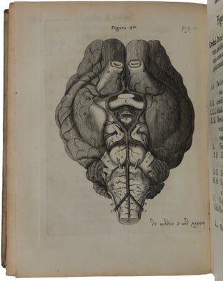 Cerebri anatome: cui accessit nervorum descriptio et usus.