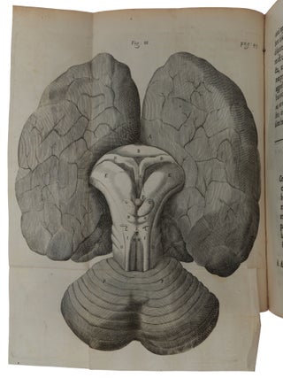 Cerebri anatome: cui accessit nervorum descriptio et usus.