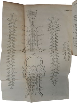 Cerebri anatome: cui accessit nervorum descriptio et usus.