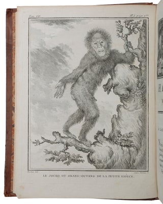 Histoire naturelle, générale et particulière, avec la description du Cabinet du Roy.