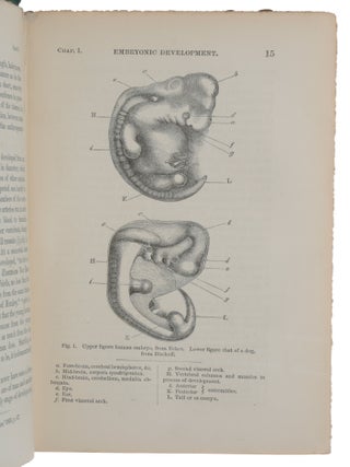 The Descent of Man, and Selection in Relation to Sex.