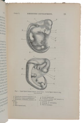 The Descent of Man, and Selection in Relation to Sex.