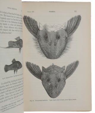 The Descent of Man, and Selection in Relation to Sex.