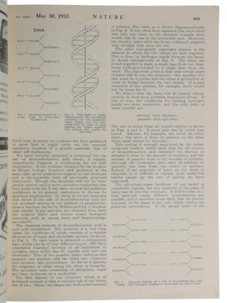 Two complete journal issues of Nature, Vol. 171, comprising: (1) No. 4356, 25 April 1953, containing the three papers under the common head-title ‘Molecular Structure of Nucleic Acids’: WATSON & CRICK, ‘A Structure for Deoxyribose Nucleic Acid,’ pp. 737-738; WILKINS, STOKES & WILSON, ‘Molecular Structure of Deoxypentose Nucleic Acids,’ pp. 738-740; and FRANKLIN & GOSLING, ‘Molecular Configuration in Sodium Thymonucleate,’ pp. 740-741.(2) No. 4361, 30 May 1953, containing WATSON & CRICK, ‘Genetical Implications of the Structure of Deoxyribonucleic Acid,’ pp. 964-967.